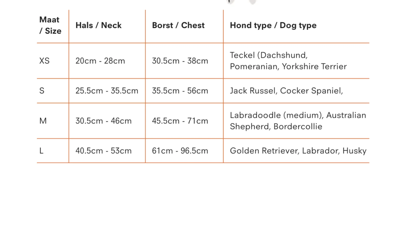 GULA DOG CARE – Großhandel Haustiergeschirr – Hund – Hundegeschirr NEU - Blau & Gelb5