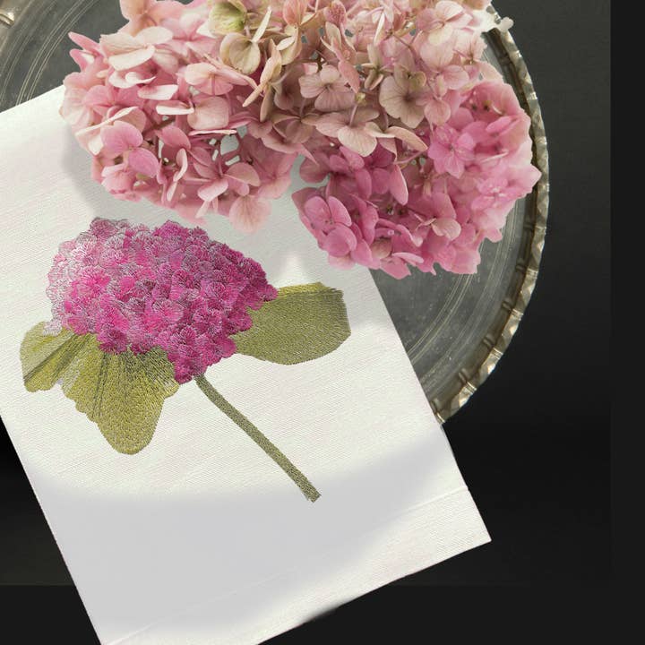 Hydrangea for wholesale by ANALI