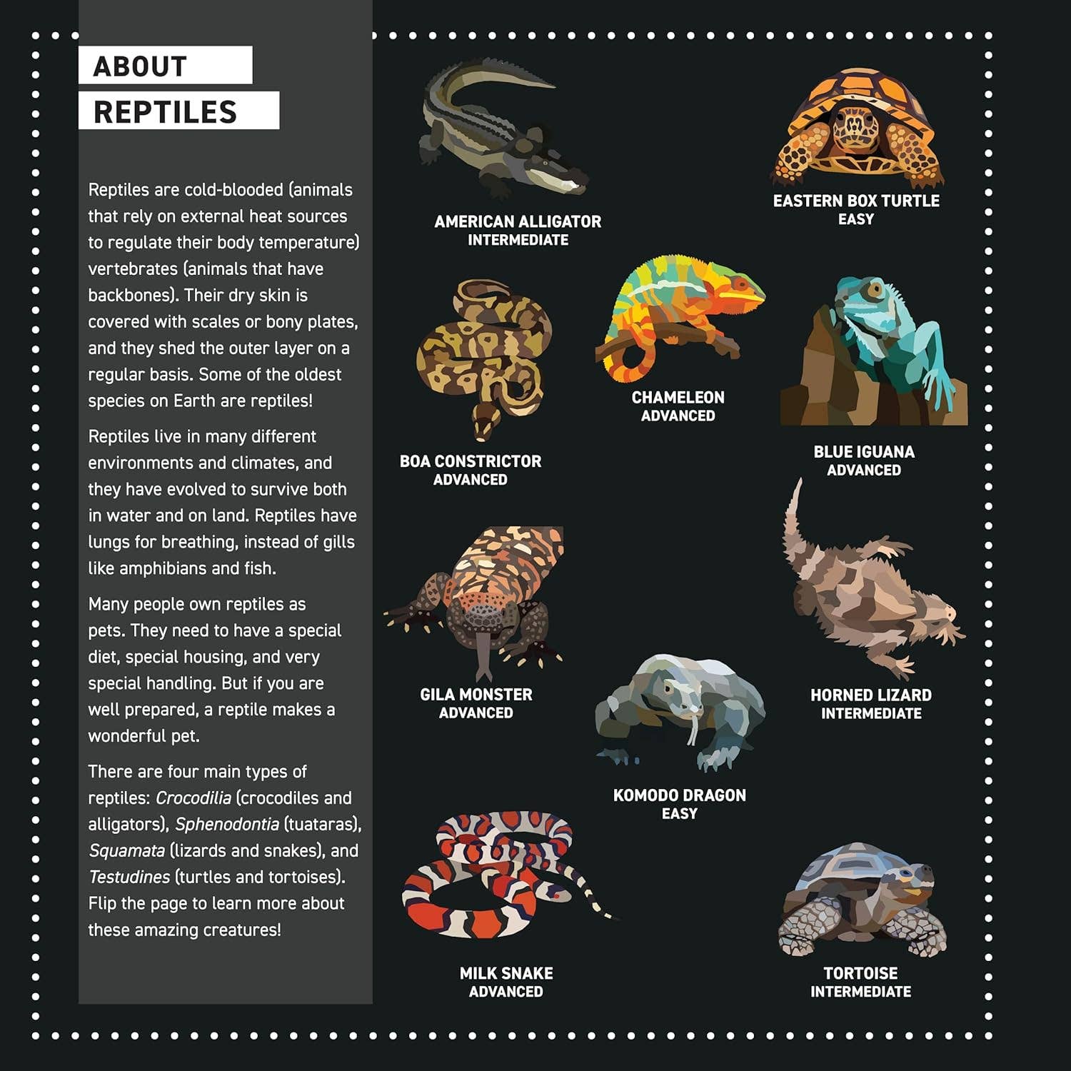 Fox Chapel Publishing - Wholesale Coloring & Activity Book - Kids & Baby - My Sticker Paintings: Reptiles - 10 Awesome Animals2