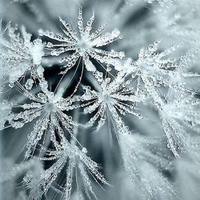 Sparkling Icicles Soy Candles & Wax Melts for wholesale by Joyful Home Inc.