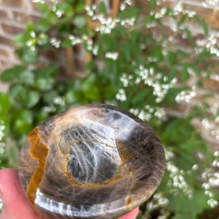 Black Moonstone - Bowl and other Purchase Wholesale peony roots. Free Returns & Net 60 Terms on Faire trending on Faire.