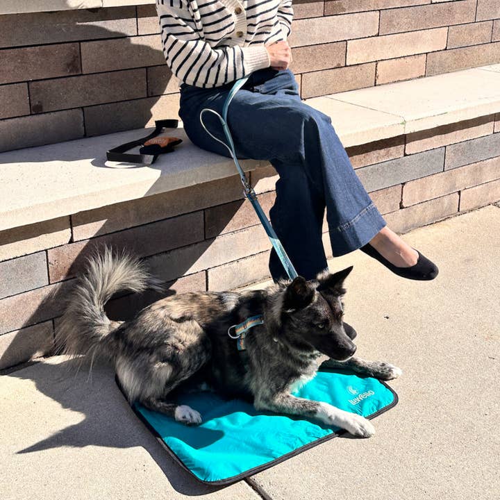 Portable Dog Settle Mat for wholesale by LUWELLO, LLC