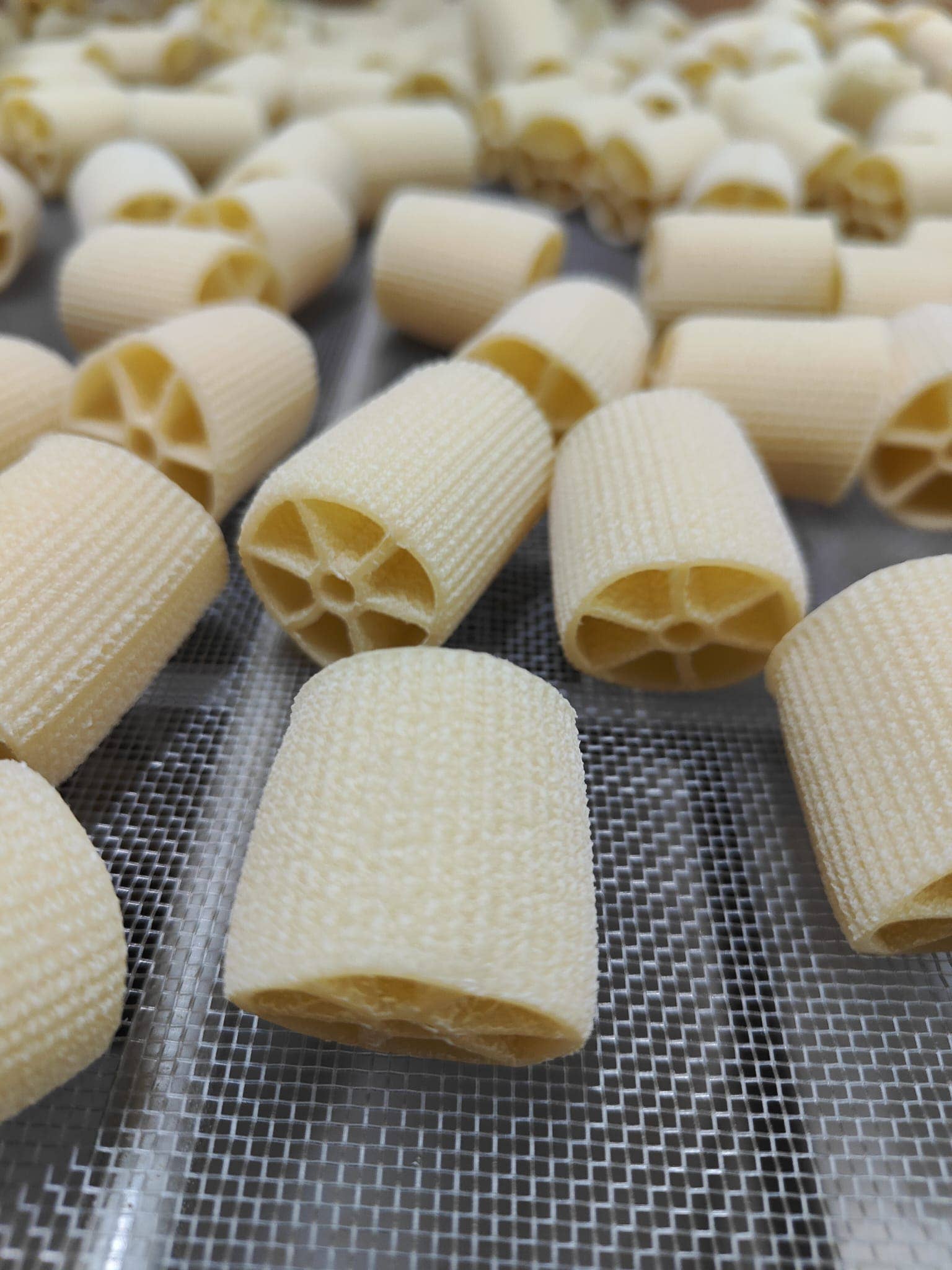 Gennaro 1919 - Vendita all'ingrosso Pasta - Maxi Ruote - Pasta Italiana - 500g1