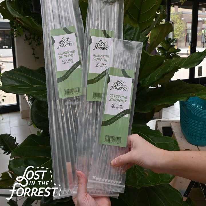 Lost in the Forrest - Wholesale Garden tool - Glassvine Plant Support 3