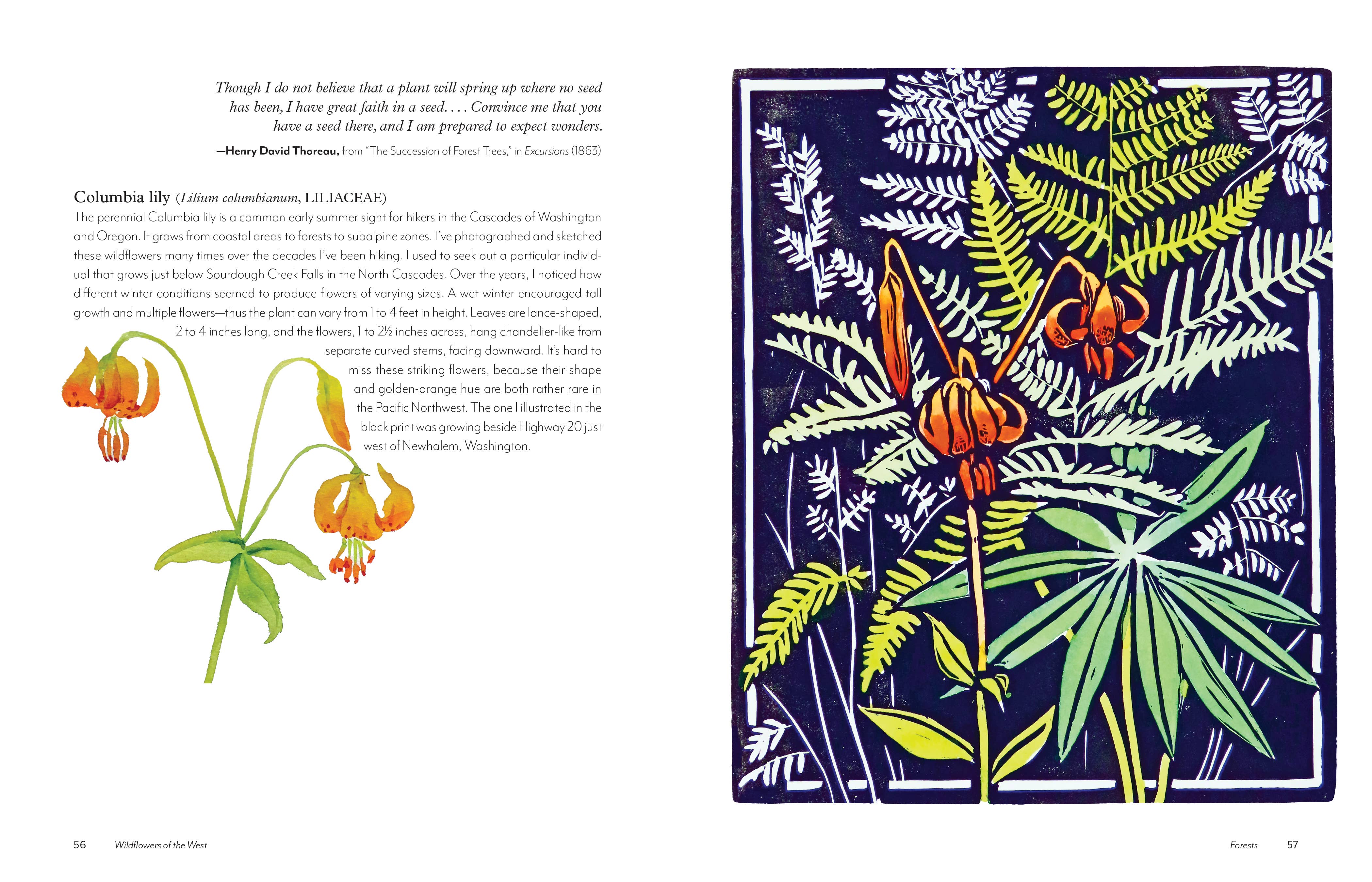 Mountaineers Books - Wholesale Nature & Outdoors - Wildflowers of the West4