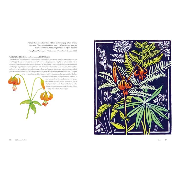 Mountaineers Books - Wholesale Nature & Outdoors - Wildflowers of the West4