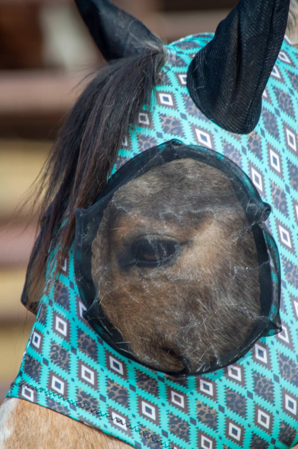 Schulz Equine - Wholesale Horseback Riding Gear - Lycra Fly Mask19