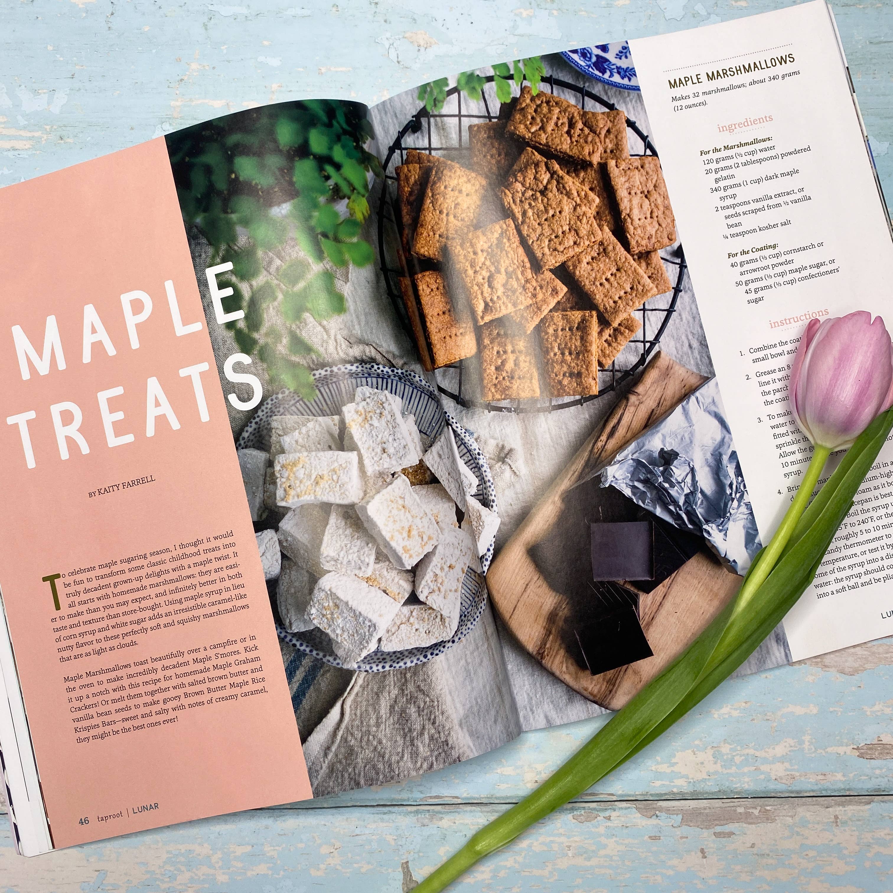 Taproot - Wholesale Magazine - Issue 55: Lunar - Taproot Magazine4