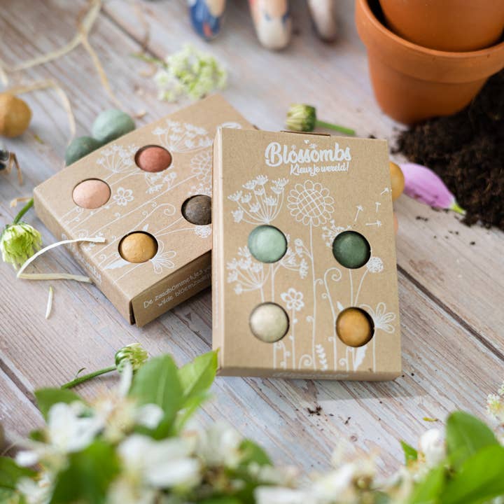 Blossombs - Wholesale Plant Seeds - Organic Gift Box "I Love You" with 4 Seed Bombs3