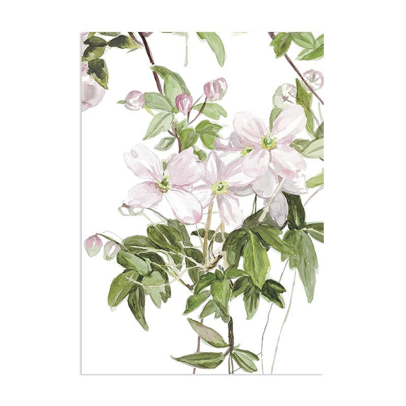 Sian Zeng – wholesale Wallpaper – Clematis Mural Wallpaper - White2