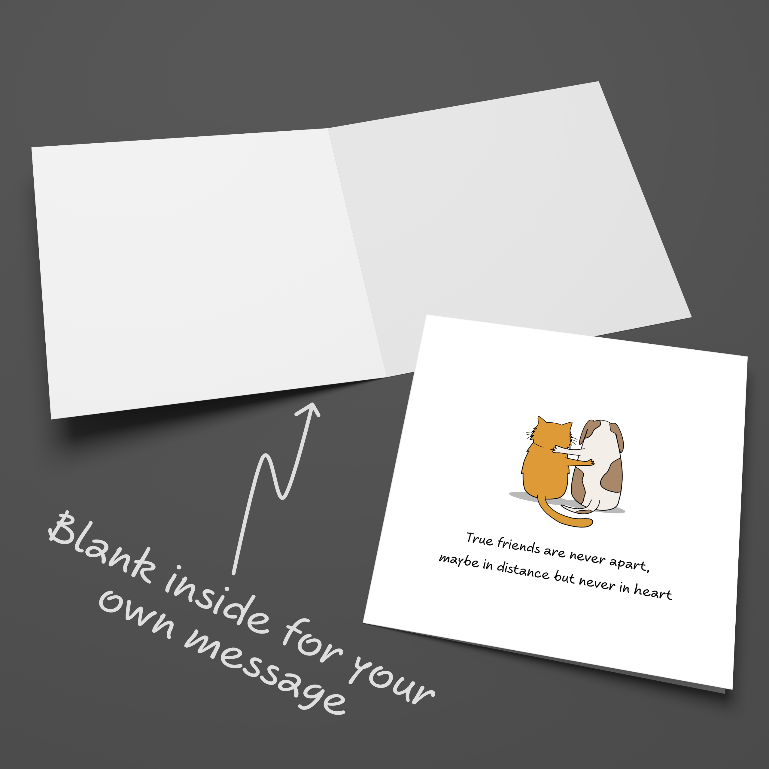 Swizzoo Cards – wholesale Birthday card – Best Friend / Friendship Card Female Missing You Birthday Card Dog Cat Apart3