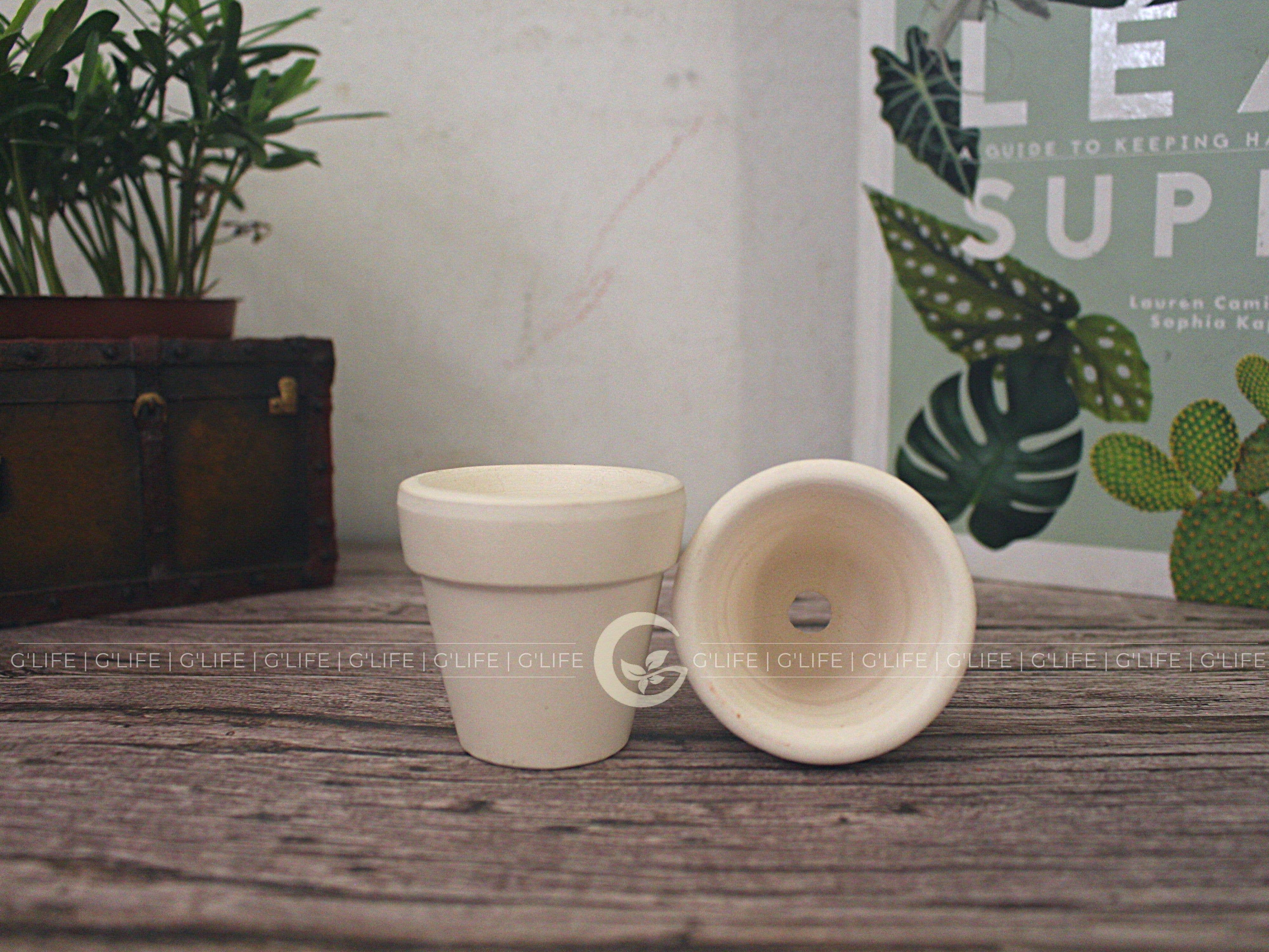 GLifee - Wholesale Plant Pot - 2" Tiny Terracotta Clay Plant Flower Pot - Drainage Hole13