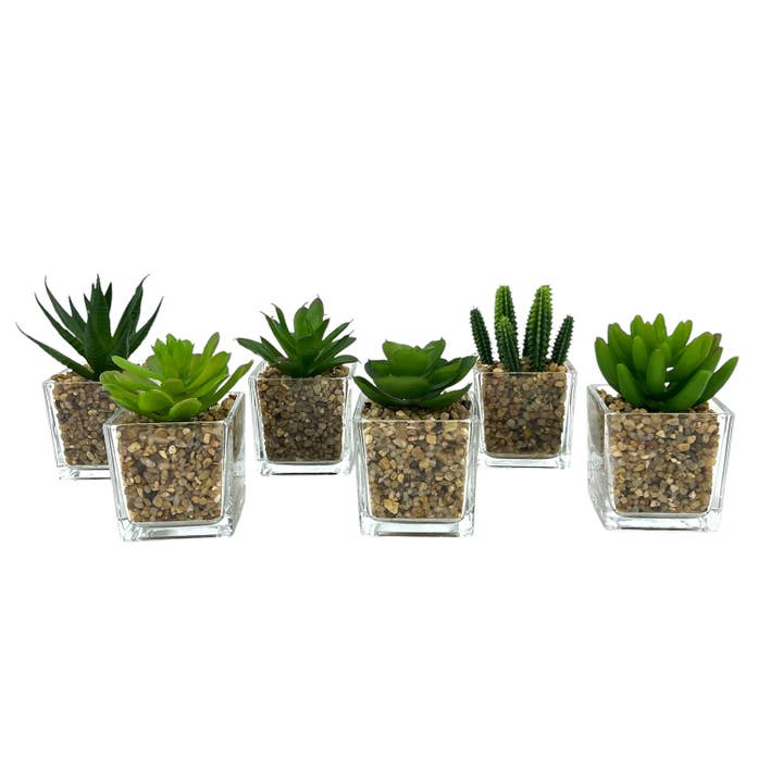 Aguilar Málaga - Wholesale Artificial Plant - C.CRYSTAL ASSORTED SUCCULENTS,9cm H.,5cm W.