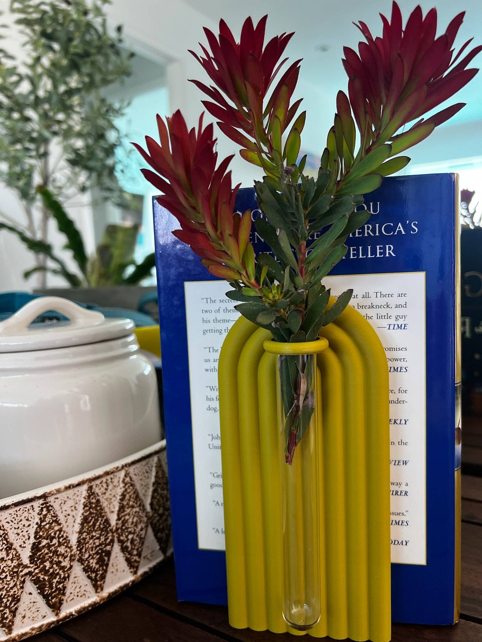 Brehmwood Creative - Wholesale Bookend - Propagation Bookend Set with Built-In Glass Tubes for Plant Lovers – 20 Colors Available!1