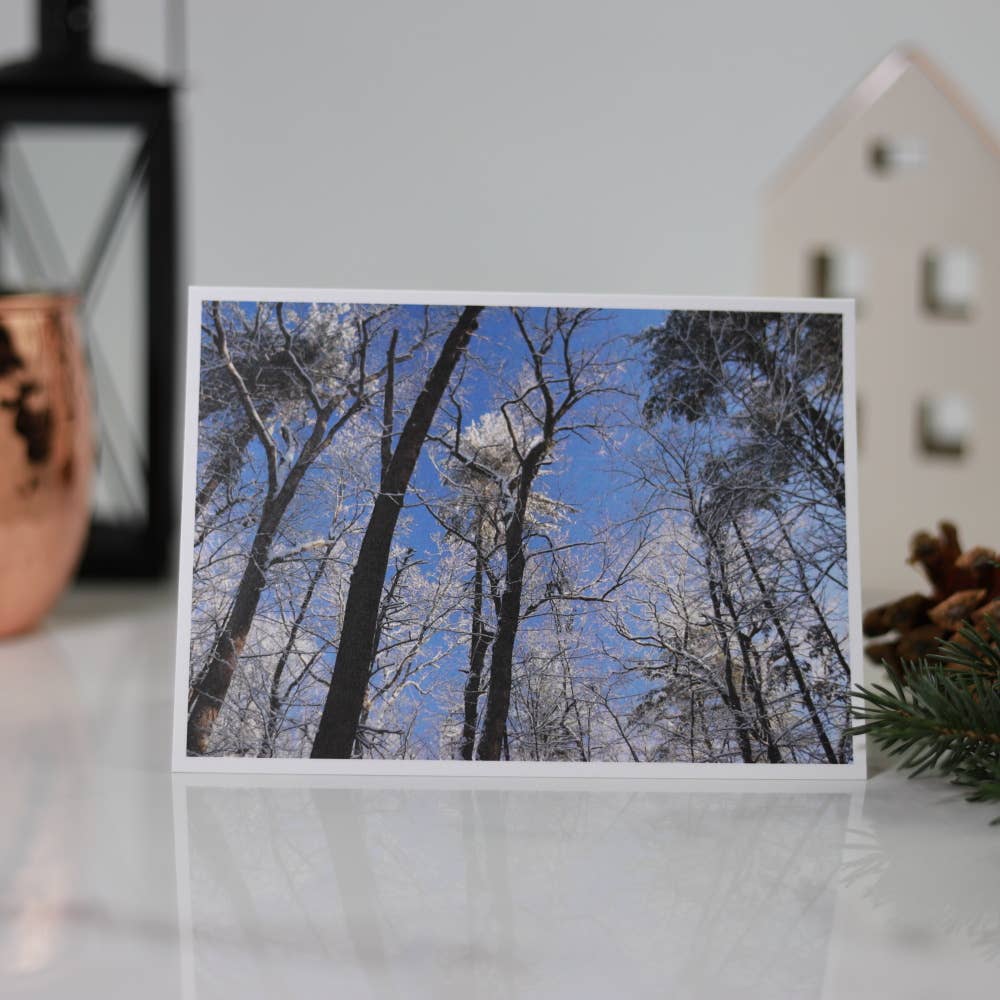 New England Prints - Wholesale Stationery/Notecard Set - Box of 5 All Occasion New England Winter Blank Note Cards6
