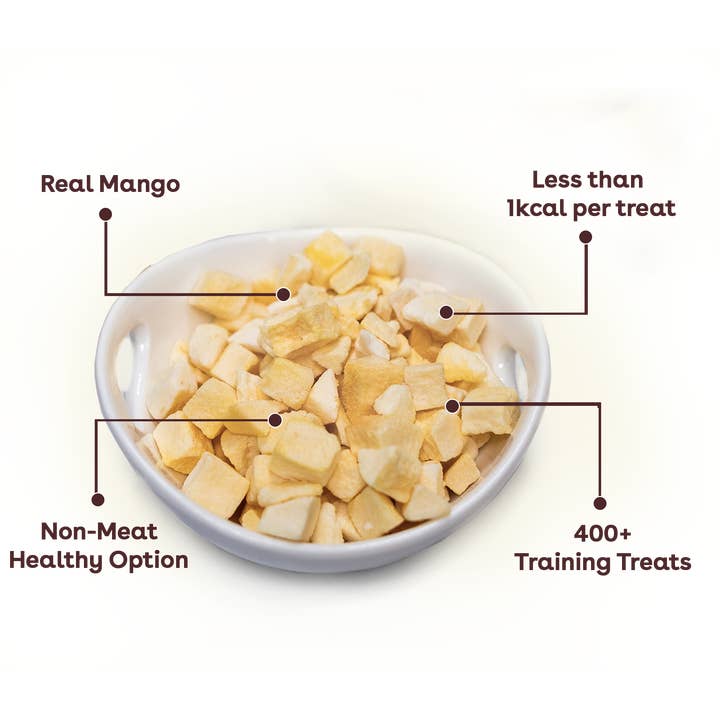 Pupford - Wholesale Pet Treats - Dog - Pupford Freeze Dried Mango Training Treats