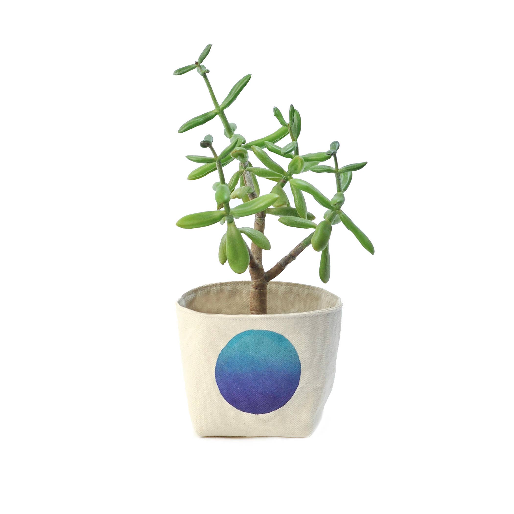 Gray Green Goods - Wholesale Plant Pot - Ombre circle blockprint canvas planter—4"1