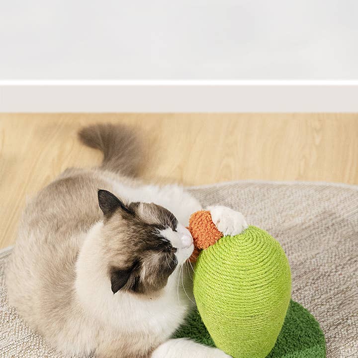One for Pets - Wholesale Pet Scratcher - Cat - Designer Cat Post - Cactus Mini