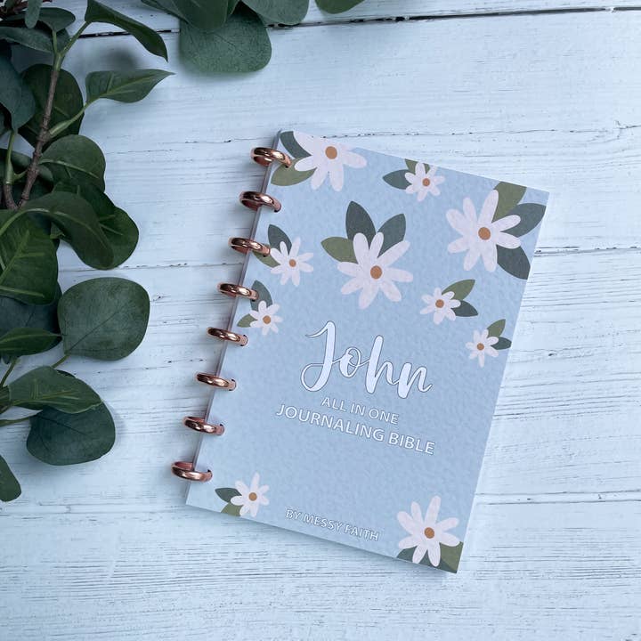 Messy Faith – wholesale Journal/diary – All in One Journaling Bible8