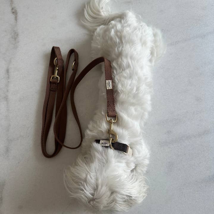 Brown / Adjustable cotton dog leash (Brown) for wholesale by DrewsDogwear