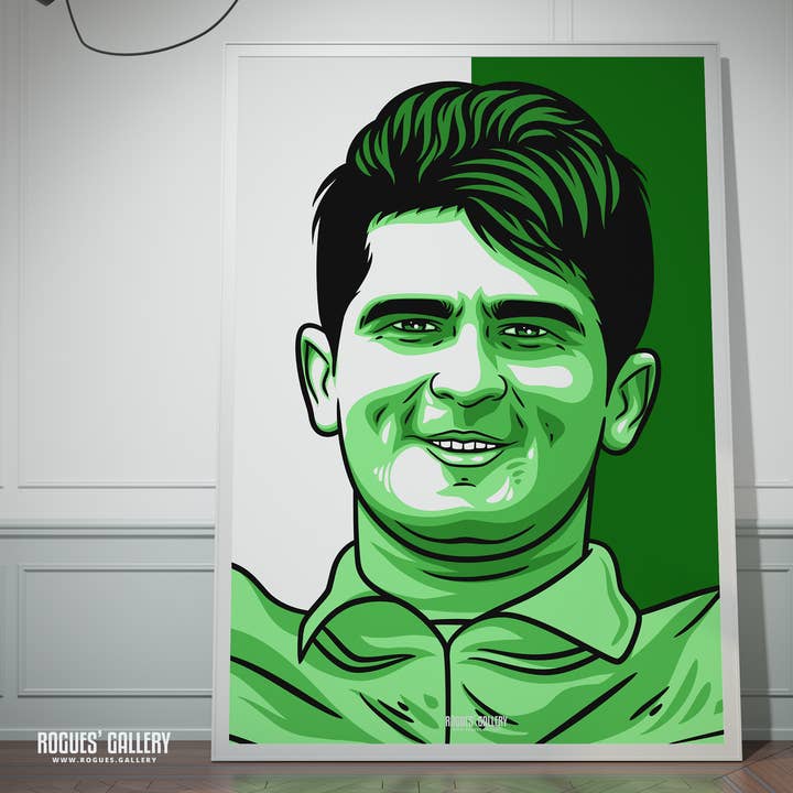 Shaheen Afridi - Pakistaanse cricketster A3-, A2-, A1- of A0-pictogram voor wholesale door Rogues' Gallery