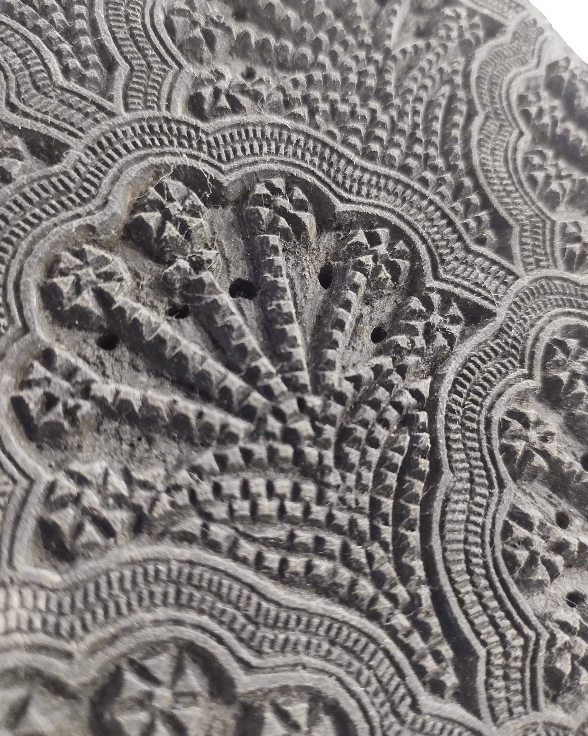 Walter G - Wholesale Throw Pillow Cover - St Tropez Saffron Pillowcase7