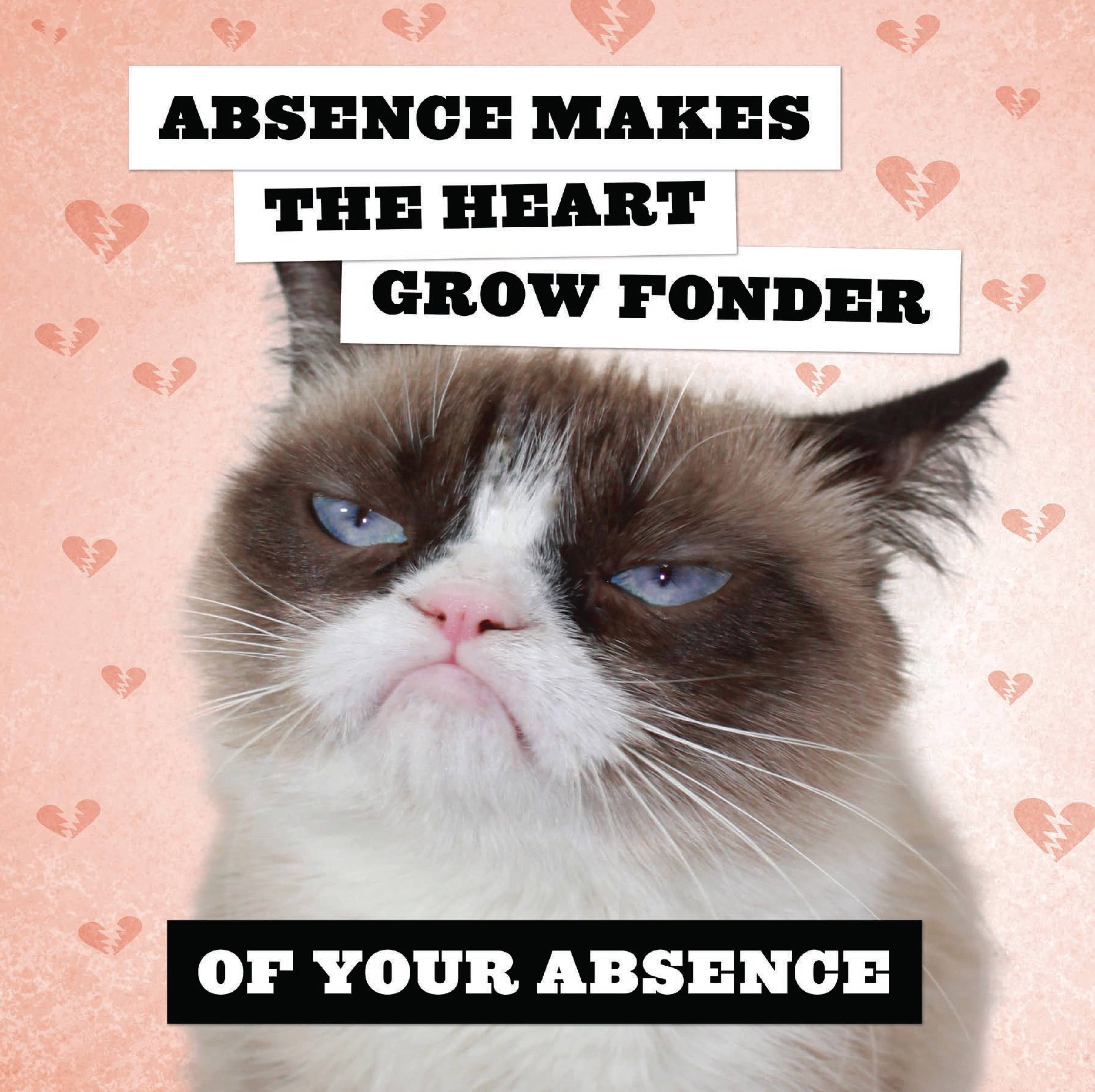 Chronicle Books - Wholesale Calendar - Grumpy Cat 2026 Wall Calendar5