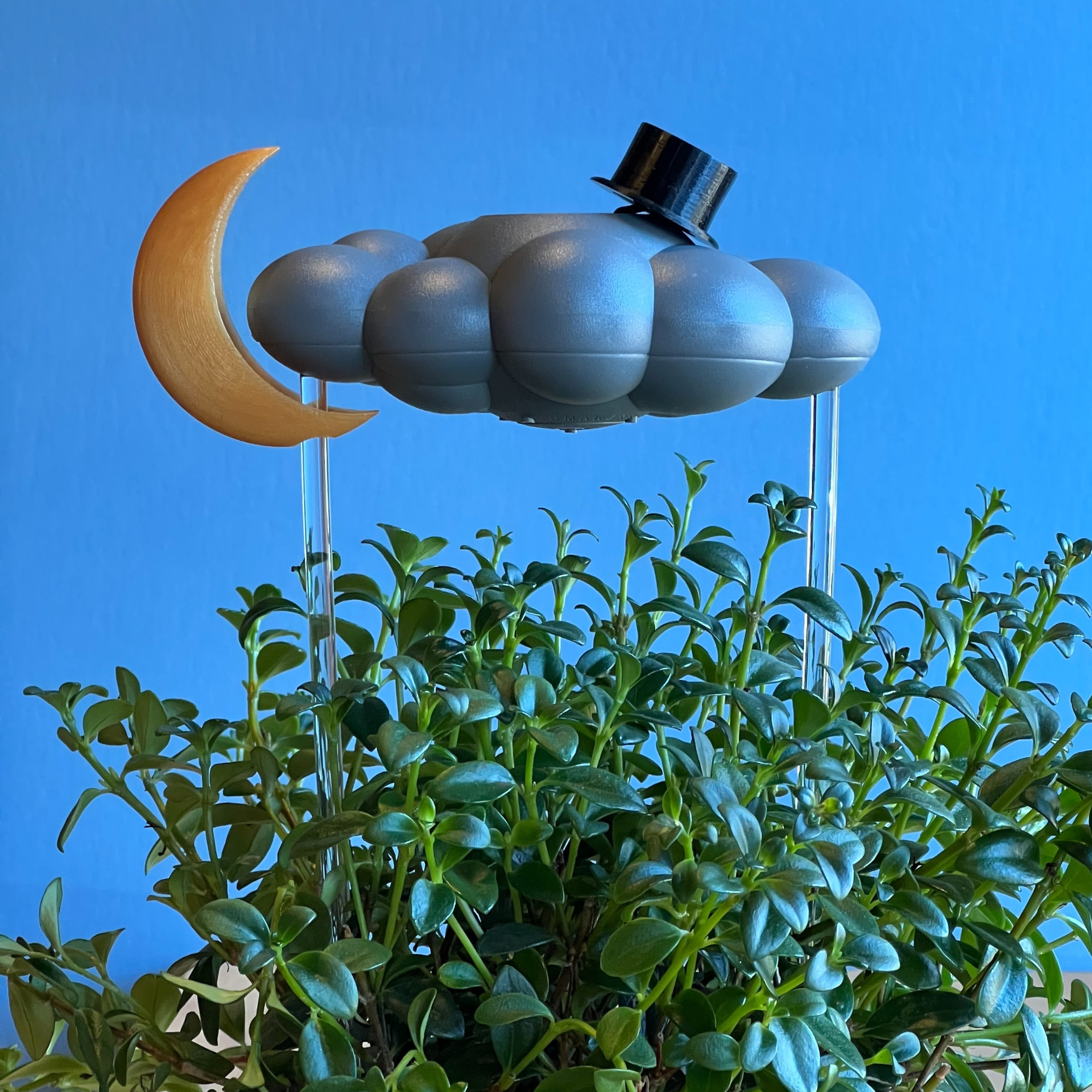 The Cloud Makers - Vente Pot - Charme de Haut-de-forme11