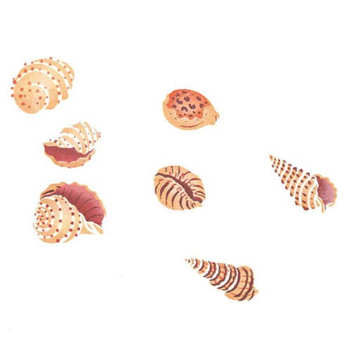 My Shell Collection Wall Stencil for wholesale by Designer Stencils