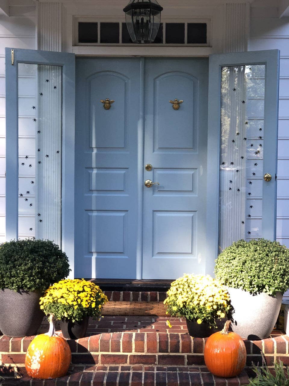 Brass bee - Vendita all'ingrosso Manopola/pomello - Battiporta a forma di calabrone in ottone, finitura ottone10