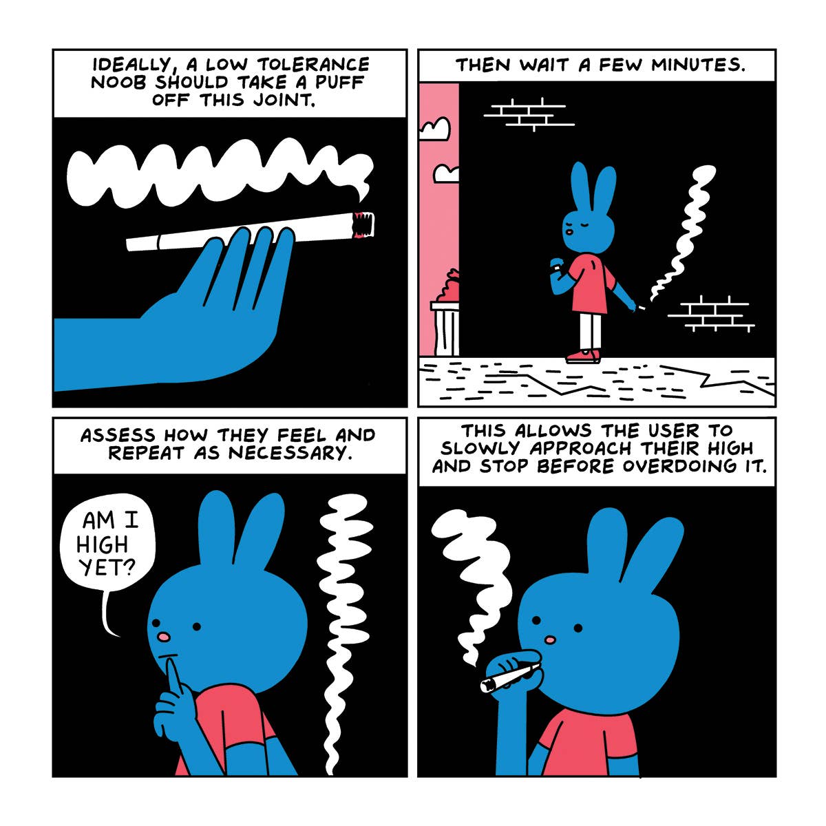 Yellow Salmon White Are You Too High? Adult Storybook, STR-004 for wholesale on Faire2