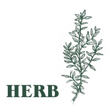 Heaven Scent Incense Ltd - Wholesale Reed Diffuser - NEW! Green Botanical Range 100ml Reed Diffuser - UK ONLY7