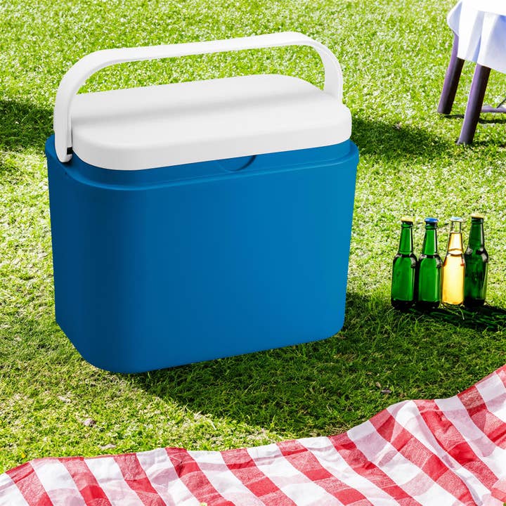 Rinkit Ltd – wholesale Cooler/cooler bag – 30L 12V Electric Cool Box - Blue