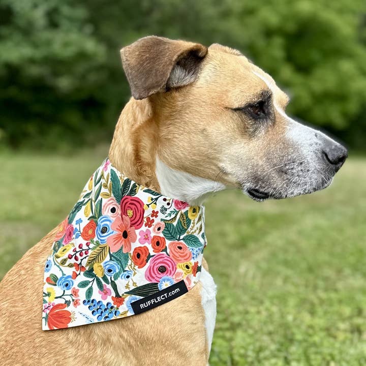 Rifle Paper Co. Roses RUFFLECT® Dog Bandana for wholesale by RUFFLECT Dog Bandanas