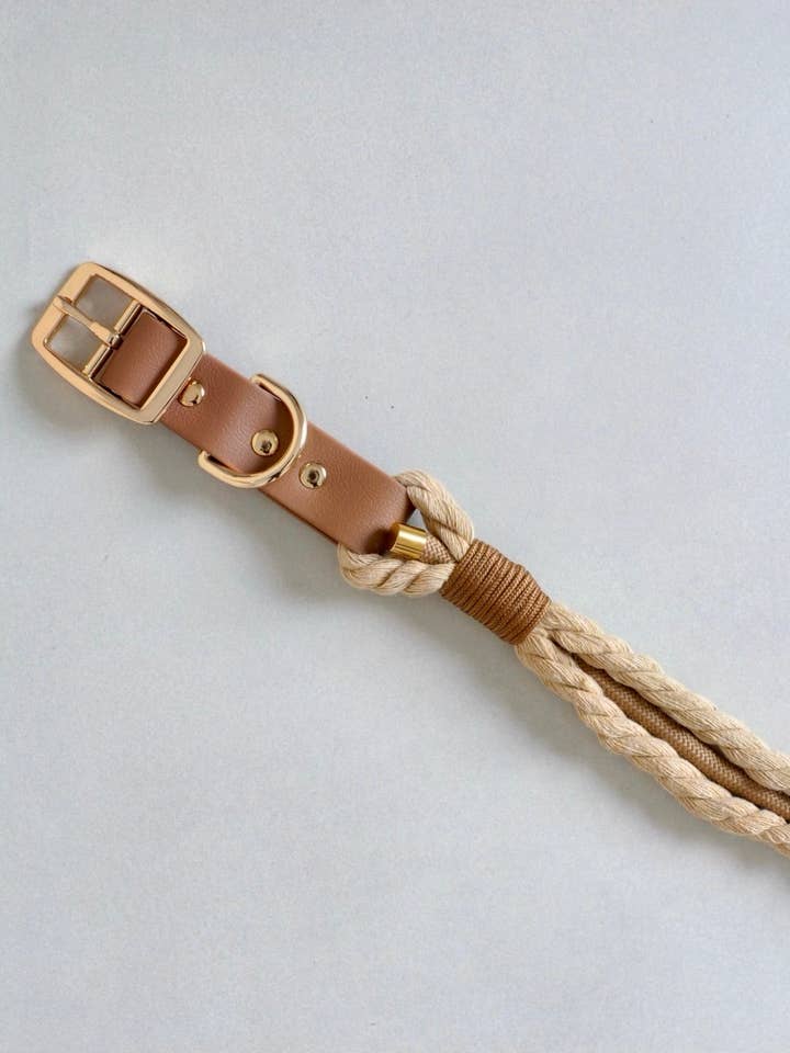 Flätat hundhalsband - Beige för wholesale av Les Wafou