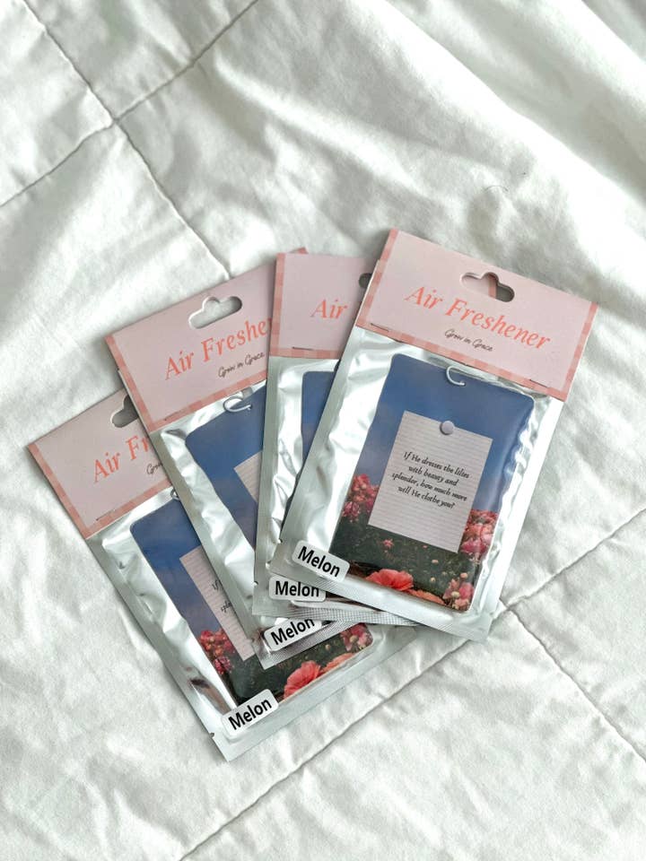 Ambientador de carro com versículo bíblico, acessórios para rapariga cristã por atacado de Grow in Grace