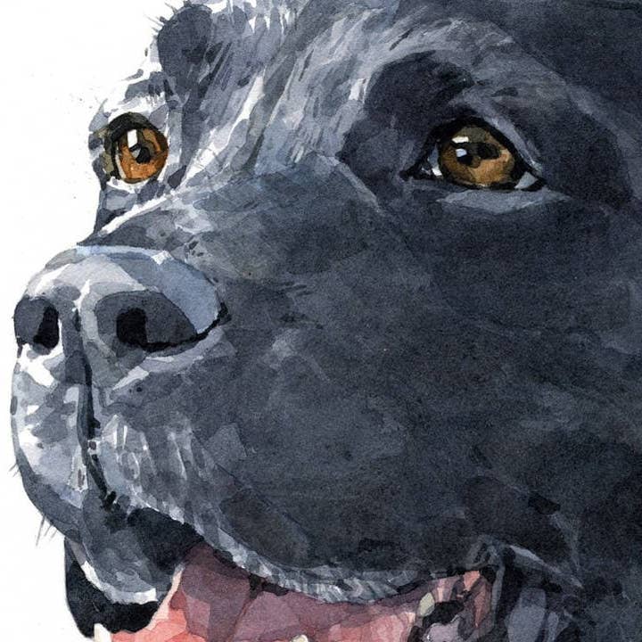 Studio Tuesday - Wholesale Art Print - Black Lab Dog Art Print, Labrador Retriever Watercolor