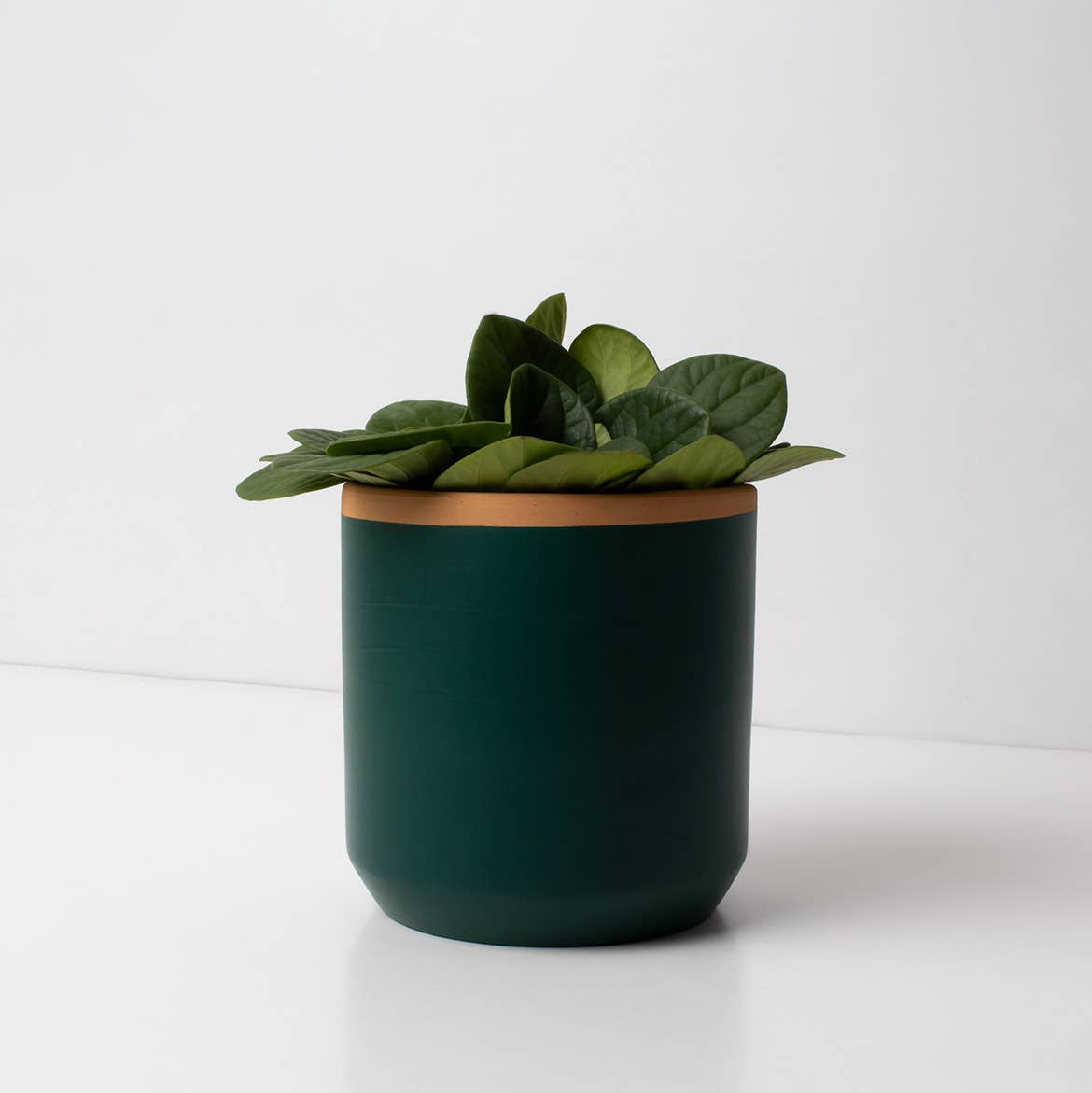 Resetea – wholesale Plant pot – Handcrafted Fern Green Planter🪴1