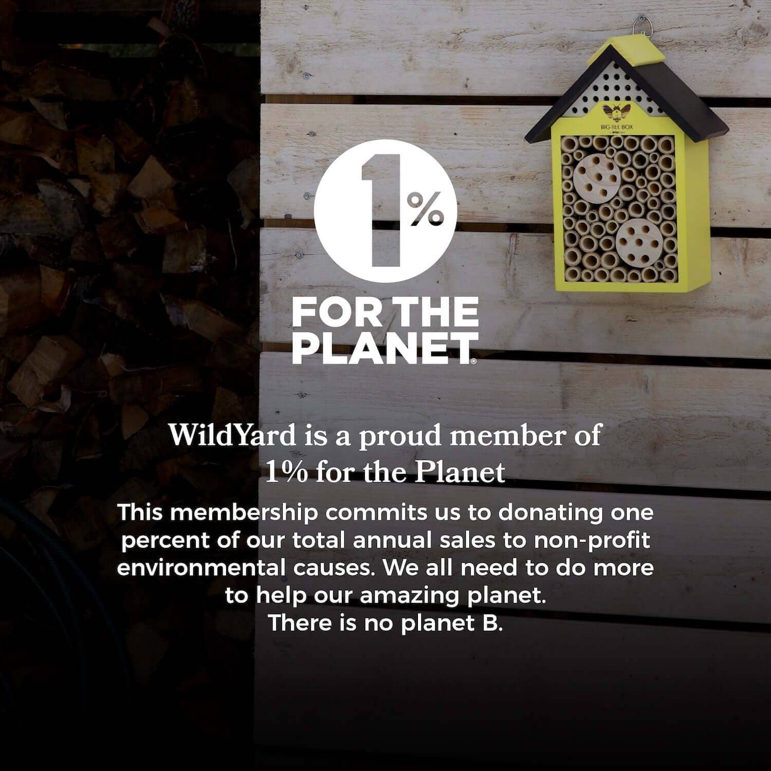 Big Bat Box - Vente Nichoir - Maison à abeilles – Grande boîte pour abeilles4