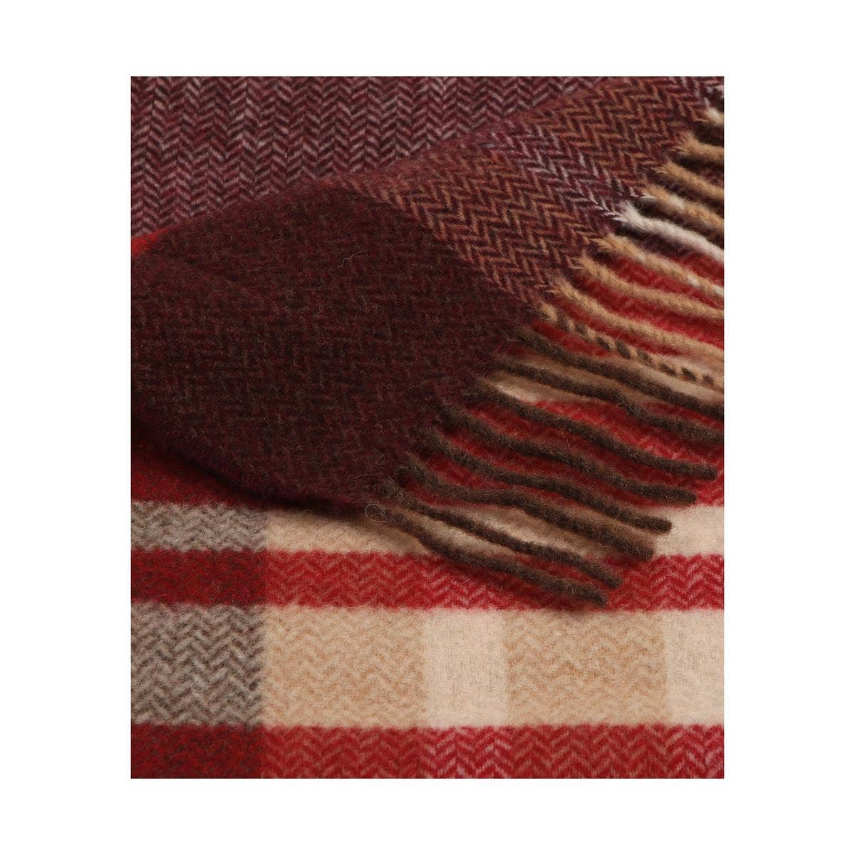 SOFIA TOSCANO - Wholesale Throw Blanket - Fara Dis 100128