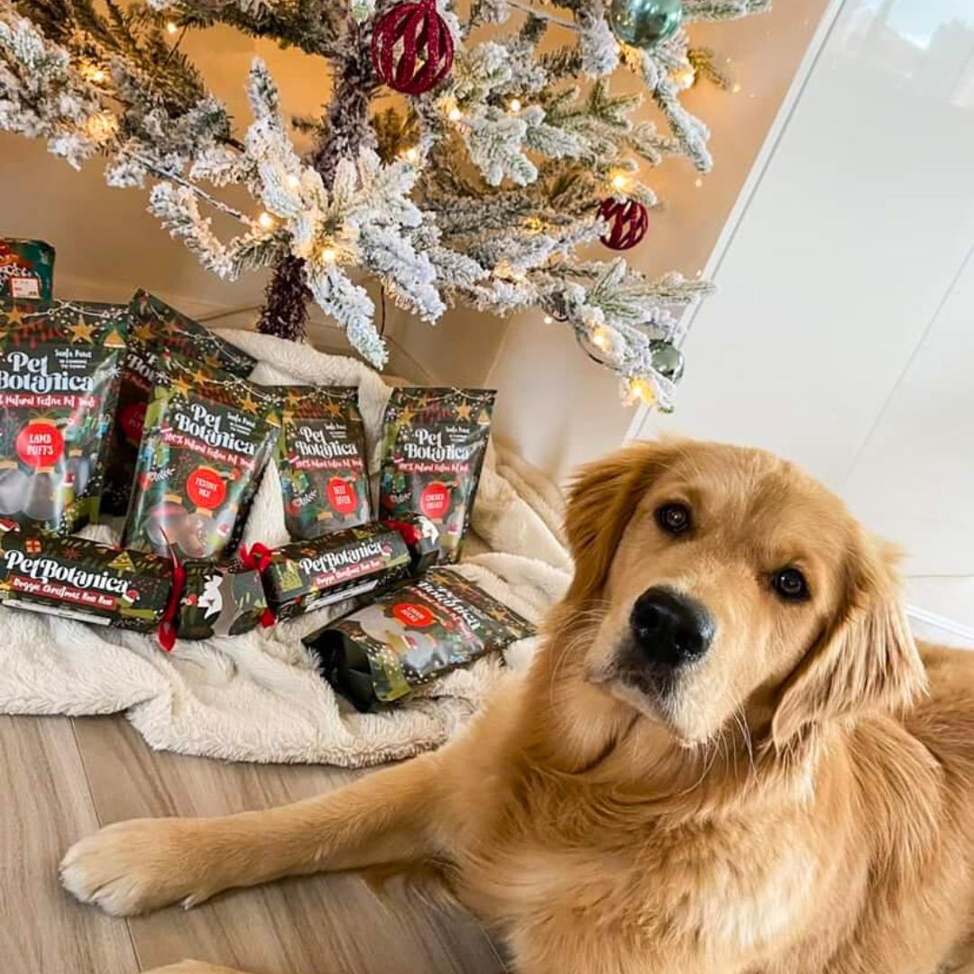 Pet Botanica - Wholesale Pet Treats - Dog - Christmas Dog Treats | Festive Treat Pouches for dogs
3