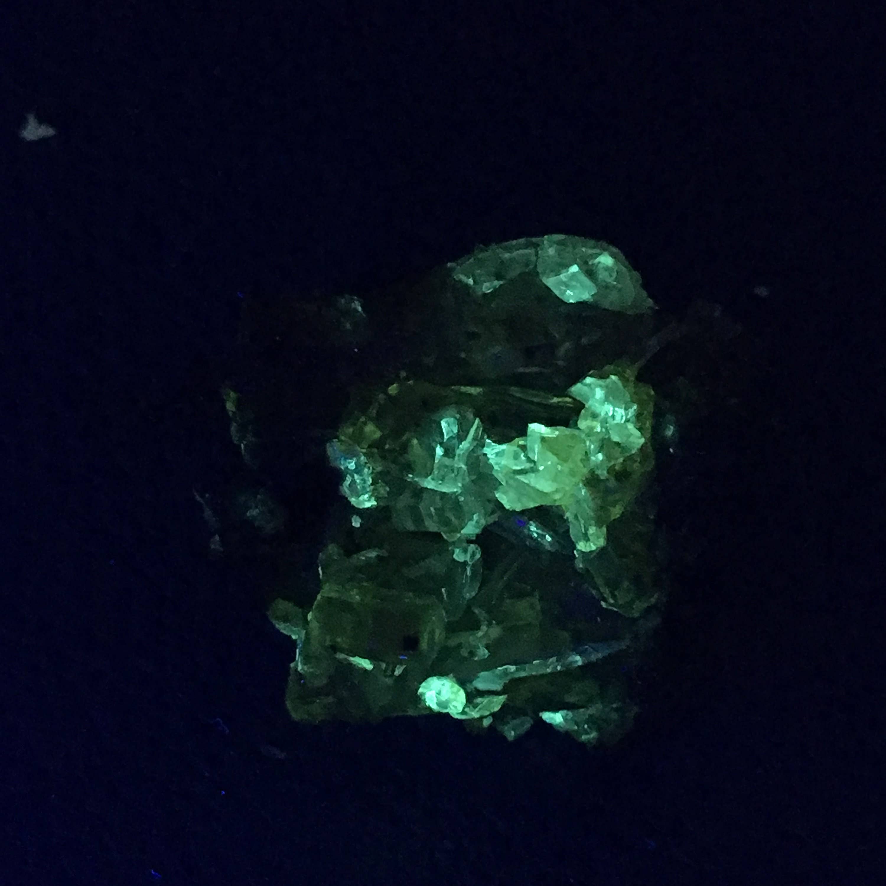 Wildheart Crystals - Wholesale Spiritual Stone/Crystal - BIG 64g Blacklight fluorescent Zincite Cluster3