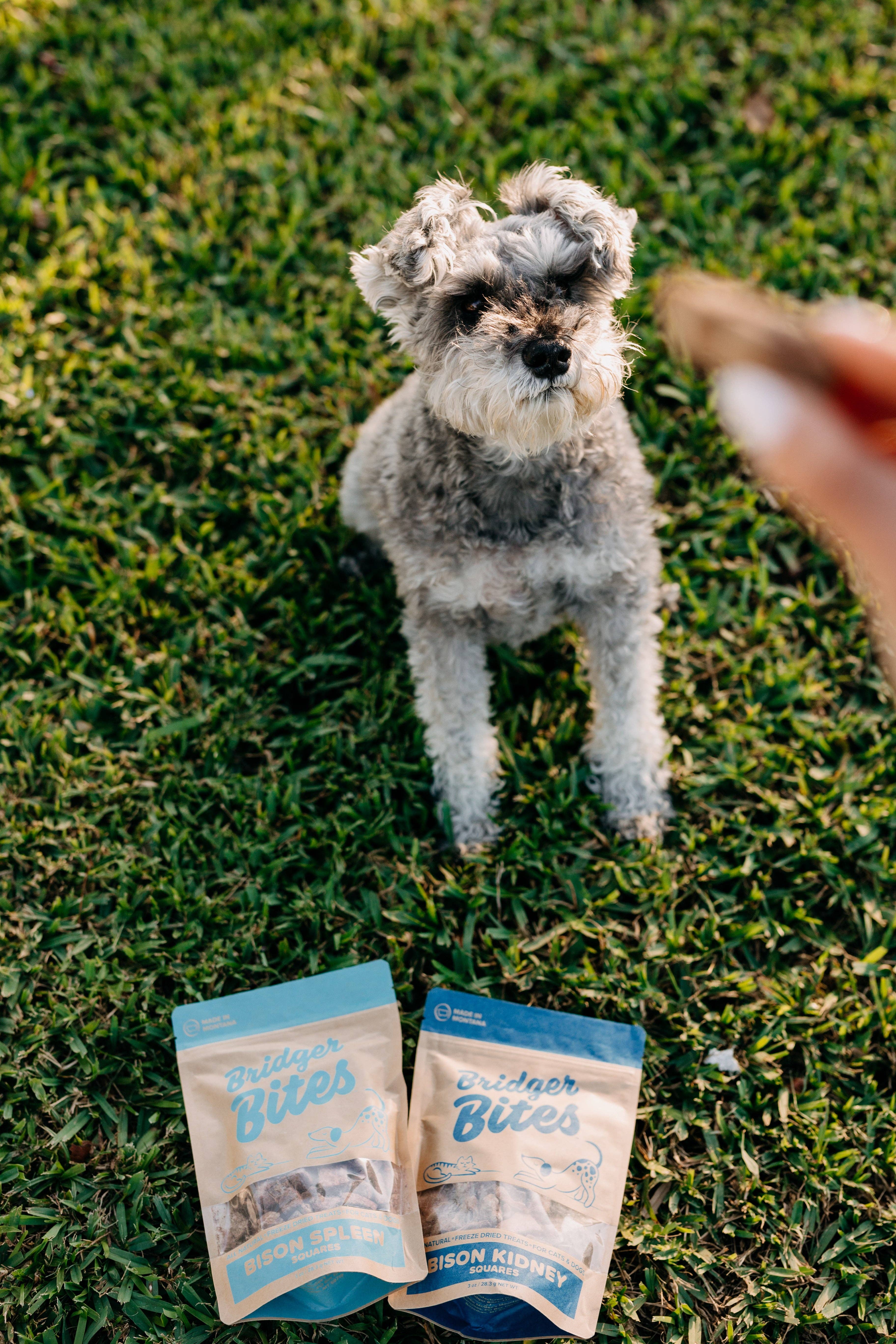 Bridger Bites, LLC - Wholesale Pet Treats - Dog - Freeze-Dried Bison Spleen2