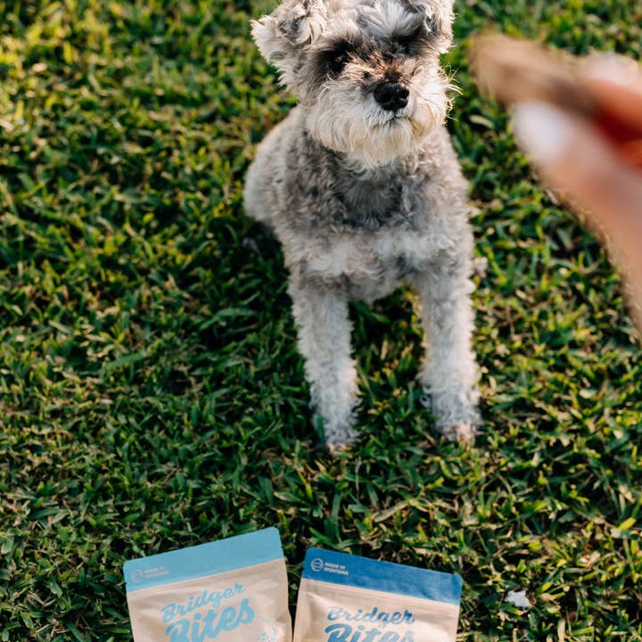 Bridger Bites, LLC - Wholesale Pet Treats - Dog - Freeze-Dried Bison Spleen2