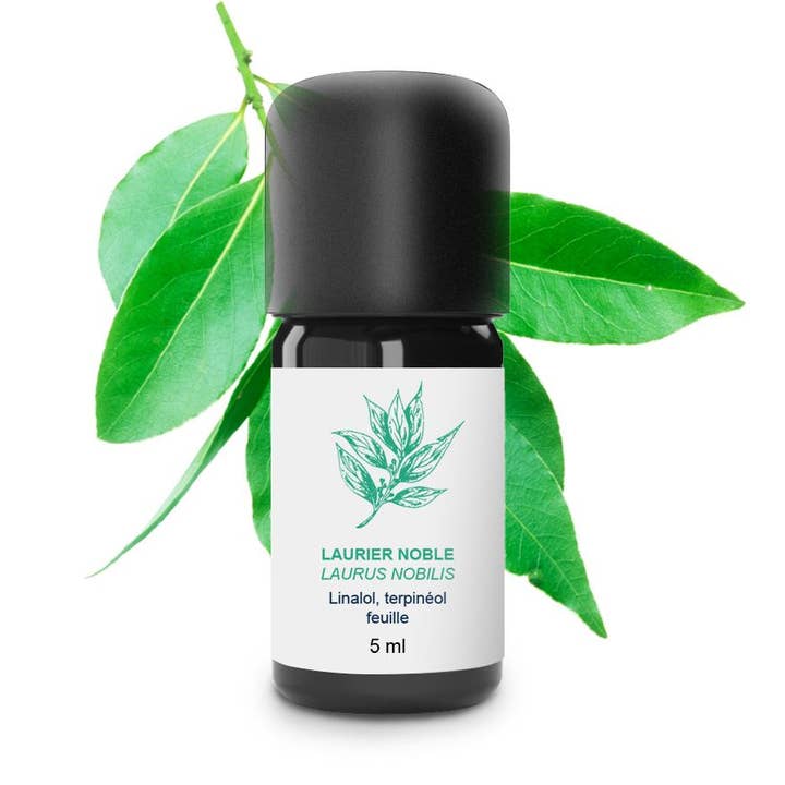 Edele etherische olie van laurier voor wholesale door essenciagua