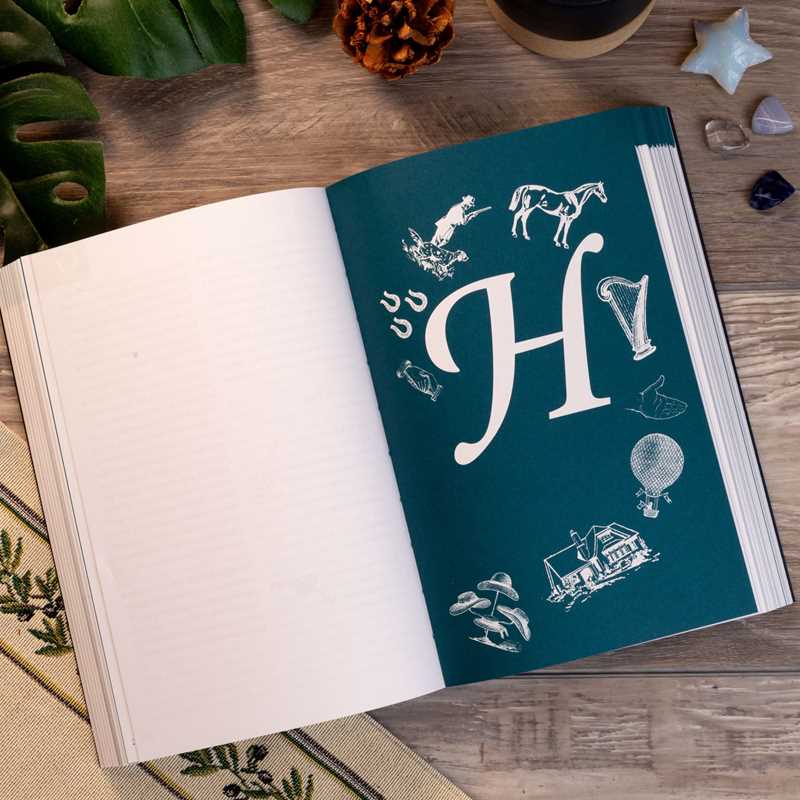 Simon & Schuster - Wholesale Reference - Dream Dictionary by Theresa Cheung3