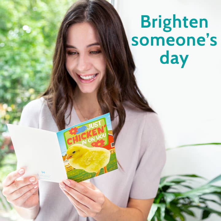 T Marie - Wholesale Everyday Greeting Card - 24 Funny Greeting Cards Set with Envelopes - 24 Designs4