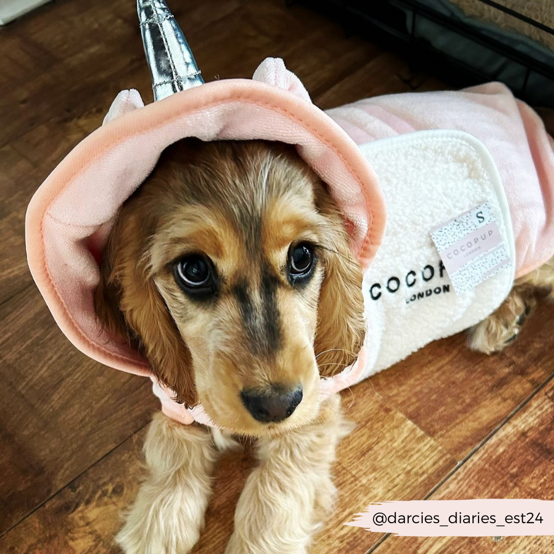 Cocopup London - Wholesale Pet Hoodie - Dog - Pupicorn Drying Robe18