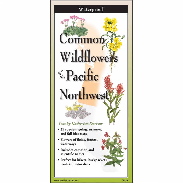 Common Wildflowers of the Pacific Northwest Nature Guide for wholesale by Earth Sky + Water