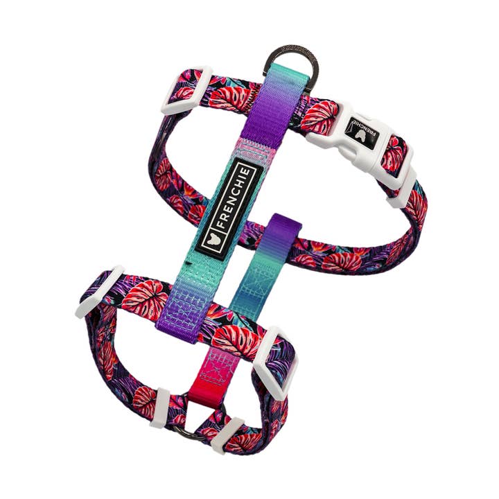 Frenchie Harnas met Band - Tropische Palmen voor wholesale door Frenchie